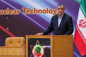 Người đứng đầu Cơ quan Năng lượng nguyên tử Iran (AEOI) Mohammad Eslami phát biểu tại Tehran. (Ảnh: AFP/TTXVN)