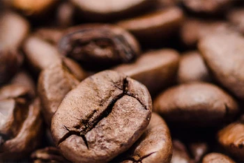 Giá cà-phê cao kỷ lục 28 năm do lo ngại thiếu hụt nguồn cung
