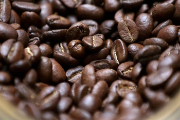 Nguồn cung cải thiện tạo sức ép lên giá cà-phê