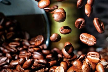 Giá cà-phê tăng do lo ngại thiếu hụt nguồn cung 