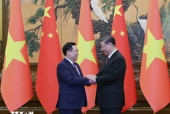 [Ảnh] Chủ tịch Quốc hội Vương Đình Huệ hội kiến Tổng Bí thư, Chủ tịch nước Trung Quốc Tập Cận Bình