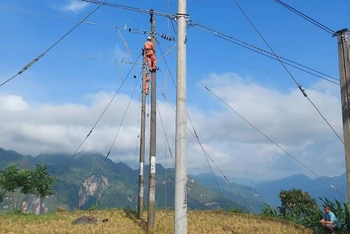 Công nhân điện lực Mường Khương kiểm tra đường dây trước mùa mưa bão năm 2024.