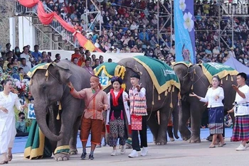 Lễ hội Voi tỉnh Xayaboury là một trong những lễ hội đặc sắc, thu hút đông đảo du khách đến Lào. (Ảnh: TRỊNH DŨNG)