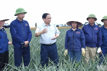 Thủ tướng Phạm Minh Chính thăm, nói chuyện với công nhân Công ty cổ phần Thực phẩm xuất khẩu Đồng Giao tại cánh đồng dứa nguyên liệu. 