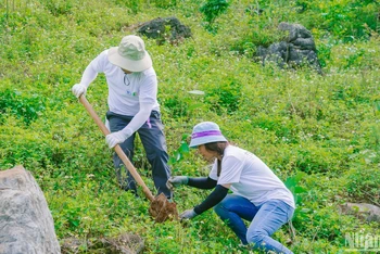 Các tình nguyện viên trồng rừng tại xã Vân Hồ, huyện Vân Hồ, tỉnh Sơn La.