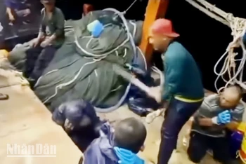 Hình ảnh của một vụ hành hung gây thương tích trên tàu cá ở Kiên Giang, tháng 8/2023. (Ảnh cắt từ clip: Quốc Trinh)