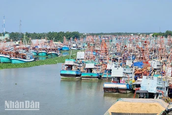 Tàu cá neo đậu tại huyện Châu Thành, tỉnh Kiên Giang.