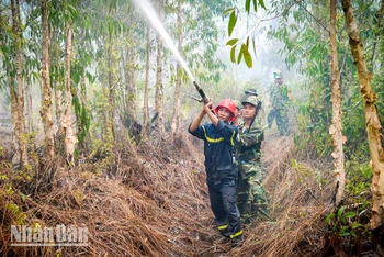 Lực lượng quân đội tham gia chữa cháy. 