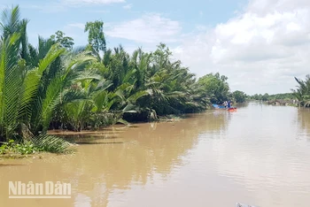 Một đoạn thuộc đầm Đông Hồ.