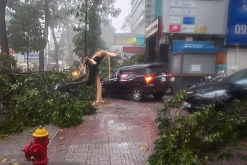 Mưa lớn kèm giông, làm cây xanh ngã đổ, hư hỏng ô-tô trên tuyến đường Phạm Ngọc Thạch, quận 3.