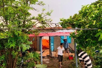 Lốc xoáy làm tốc mái nhà của người dân tại xã Thừa Đức (huyện Bình Đại, tỉnh Bến Tre). 