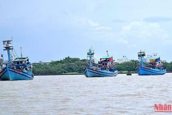 Tàu cá neo đậu tại miền biển Sông Đốc (huyện Trần Văn Thời, tỉnh Cà Mau) vì thiếu dầu xa khơi.