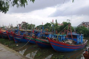 Tàu thuyền ngư dân Diễn Châu vào lạch neo đậu trú bão Noru an toàn.