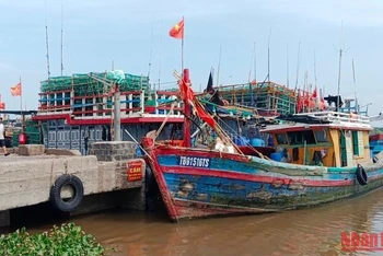 Tàu, thuyền vào neo đậu tại cảng cá cửa Lân, xã Nam Thịnh, huyện Tiền Hải (tỉnh Thái Bình).