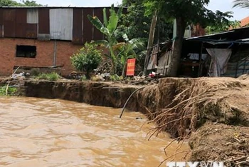 Bờ sông Tiền, đoạn thuộc xã Tân Quới, huyện Thanh Bình, tỉnh Đồng Tháp bị sạt lở. (Ảnh: TTXVN)