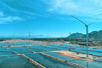 Tài trợ 25 triệu USD phát triển điện gió tại Ninh Thuận 