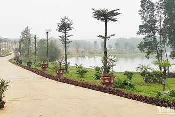 Công trình đường bê-tông được xây dựng rất quy mô tại “Khu giáo dục trải nghiệm Trưng Vương Garden”. (Ảnh: Lâm Quang Huy)