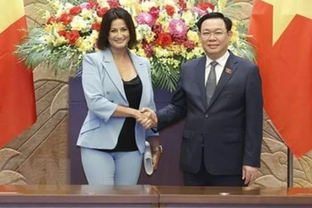 Chủ tịch Thượng viện Bỉ kết thúc tốt đẹp chuyến thăm Việt Nam