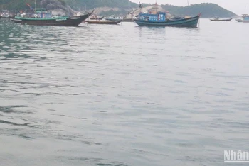 Vùng biển Cù Lao Chàm (thành phố Hội An, Quảng Nam).