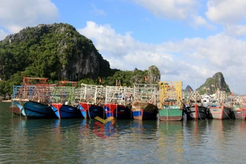 Quảng Ninh đang khẩn trương kêu gọi tàu thuyền về nơi tránh trú bão an toàn.