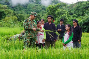 Chung tay phát triển vùng đồng bào dân tộc thiểu số và miền núi 