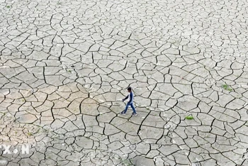 Ảnh minh họa. (Ảnh: AFP/TTXVN)