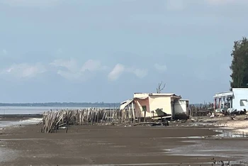 Tỉnh Bến Tre công bố tình huống khẩn cấp sạt lở bờ biển huyện Ba Tri.
