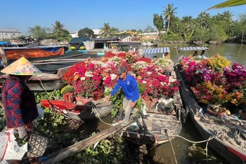 Người dân mang hoa lên ghe để vận chuyển bằng đường thủy đến chợ Tết.