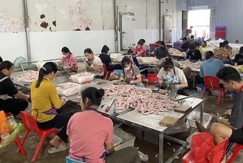Các công nhân đang chế biến 2 tấn chân vịt không rõ nguồn gốc tại cơ sở chế biến của ông Phạm Văn Lâm ở thôn Đông Hợp, xã Đông Xá, huyện Vân Đồn, tỉnh Quảng Ninh.