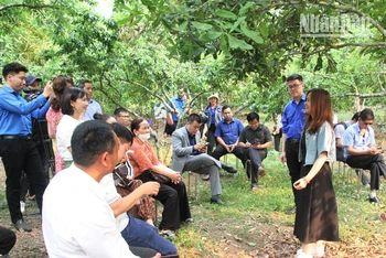 Chuyên gia nền tảng mạng xã hội Việt Nam hướng dẫn, thực hành kỹ năng livestream bán hàng.