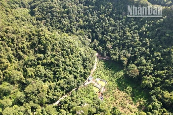 Một khu vực xây dựng trái phép nằm giữa rừng thuộc đất quốc phòng tại khu vực Mu Náu, bản Nà Bó, xã Mường Sang.