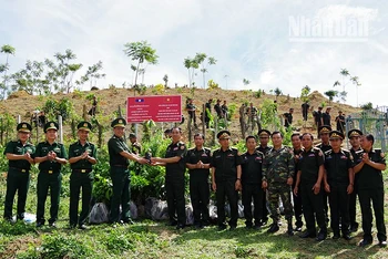 Đại tá Cà Văn Lập, Chính ủy Bộ đội Biên phòng tỉnh Sơn La trao cây giống cho Bộ Chỉ huy Quân sự tỉnh Houaphanh, nước bạn Lào.