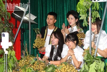 Các tiktoker livestream chợ phiên OCOP Sơn La về miền nông sản thu hút hơn 500 nghìn lượt xem.