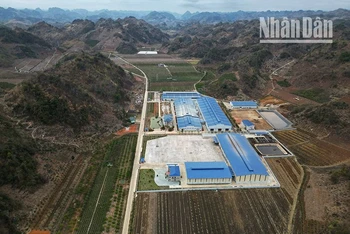 2 Nhà máy sản xuất phân bón Sông Lam Tây Bắc và Nhà máy chế biến cà-phê Sơn La nằm sát nhau tại xã Mường Bon, huyện Mai Sơn, tỉnh Sơn La.