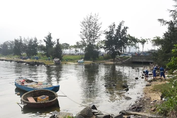 Thu gom, làm sạch môi trường khu vực Vịnh Mân Quang (quận Sơn Trà, thành phố Đà Nẵng).