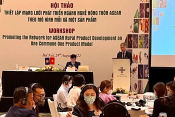 Đại diện nhiều nước trong khu vực ASEAN tham dự hội thảo.