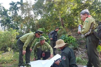 Trước áp lực trong công tác quản lý bảo vệ rừng, thu nhập thấp khiến nhiều kiểm lâm và lực lượng chuyên trách bảo vệ rừng ở Quảng Ngãi xin nghỉ việc.