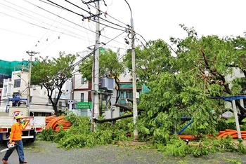 Điện lực Đà Nẵng thu dọn cây xanh để sửa máy biến áp.