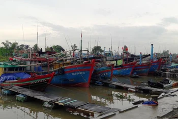 Phương tiện nghề cá tỉnh Thanh Hóa neo đậu an toàn tại âu tránh trú bão.