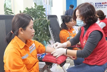 Cán bộ, công nhân Công ty Điện lực Điện Biên tham gia hiến máu.