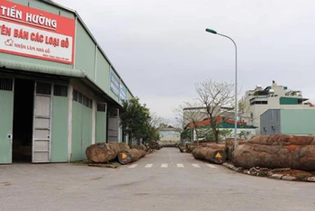 Khu đất liên quan đến vụ việc sai phạm trên tại phường Đồng Nguyên, thành phố Từ Sơn, tỉnh Bắc Ninh.