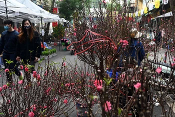 Người dân Hà Nội vãn cảnh tại chợ hoa xuân Hàng Lược. (Ảnh: Duy Linh)