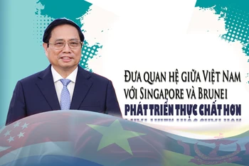 Đưa quan hệ giữa Việt Nam với Singapore và Brunei phát triển thực chất hơn