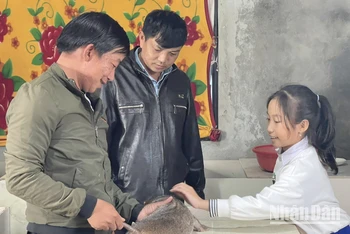 Chủ tịch Hội Nông dân thị trấn Khe Sanh, huyện Hướng Hóa (Quảng Trị) tham quan mô hình nuôi dúi của anh Nguyễn Đình Bảo.