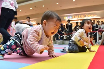 Các em bé tham gia "cuộc thi bò" tại Yokohama, tỉnh Kanagawa (Nhật Bản). (Ảnh: AFP/TTXVN)