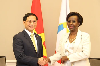 Bộ trưởng Ngoại giao Bùi Thanh Sơn và Tổng Thư ký Tổ chức Quốc tế Pháp ngữ (OIF) Louise Mushikiwabo. (Ảnh: MINH DUY)
