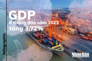 [Infographic] GDP 6 tháng của Việt Nam tăng 3,72%