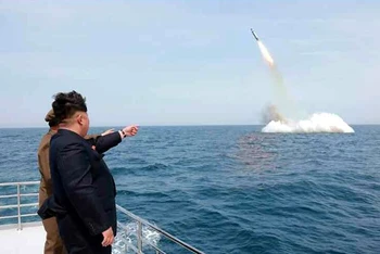 Nhà lãnh đạo Triều Tiên Kim Jong Un theo dõi một vụ phóng tên lửa đạn đạo từ tàu ngầm. (Nguồn: KCNA/TTXVN)