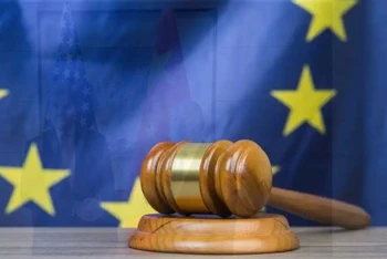 Đại diện của Google, Meta Platforms và TikTok cho rằng luật của Áo trái với một quy định của EU. (Nguồn: TTXVN/iStock/Getty Images)