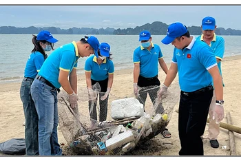 Lữ hành Saigontourist Quảng Ninh ra quân thu gom rác tại bãi biển Bãi Cháy.